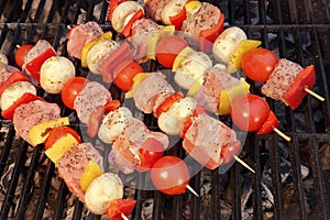 Uncooked Mixed Pork Meat And Vegetables Kebabs On The Grill