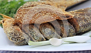 Uncooked preserved Ilish fish with vegetables