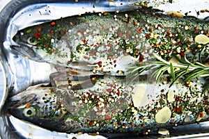 Uncooked rainbow trout with herbs and spices.