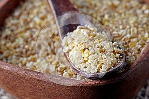 Uncooked raw bulgur wheat grains
