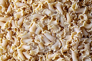 Uncooked raw Campanelle pasta background
