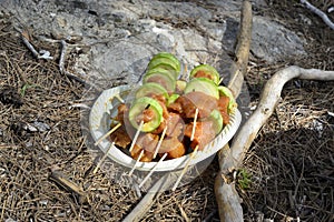 Uncooked raw fresh chicken with vegetables shashlik waiting for cooking on a bbq barbeque grill