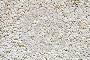 White rice background