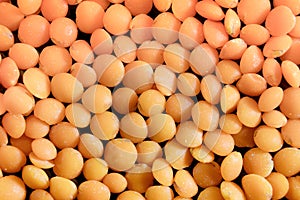 Uncooked red lentil grains texture