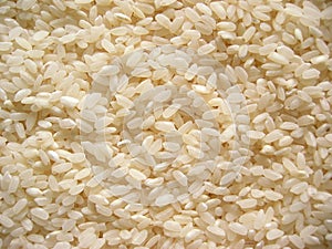 Uncooked rice