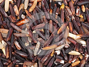 Uncooked Riceberry rice in close up