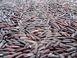 Uncooked Riceberry Rice Close-up for Background