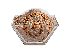 Uncooked Spelt in glass bowl, isolated