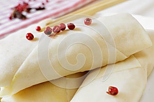 Uncooked spring rolls