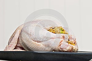 Uncooked stuffed turkey