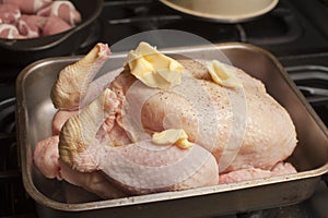 Uncooked turkey in a roasting pan photo