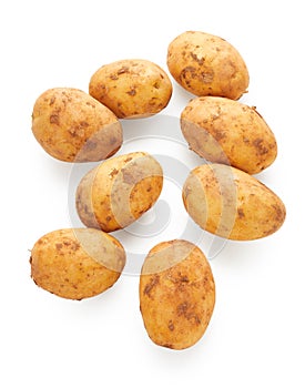 Uncooked vegetable potato on white