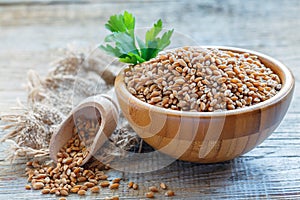 Uncooked whole grain wheat in a wooden bowl.