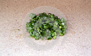 Uncrushed green onions on a gray background