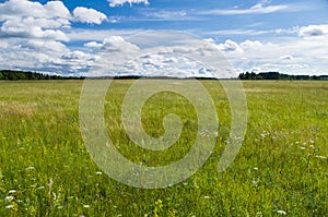 Uncultivated countryside field