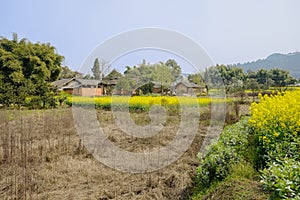 Uncultivated field in flowering lands before village on sun