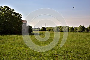 Uncultivated field next to a country house at sunset in summer