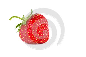 Uncultivated strawberry