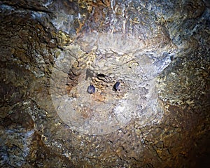 Undara Lava Tubes Delicate Ecosystem On Tour Australia photo