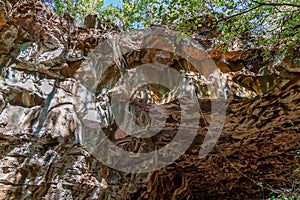 Undara Lava Tubes Delicate Ecosystem On Tour Australia photo