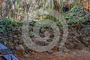 Undara Lava Tubes Delicate Ecosystem On Tour Australia photo