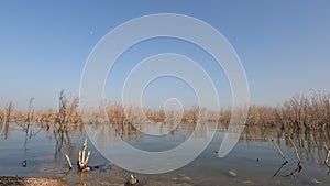 An undeclared beach in the Sea of Galilee near Tiberias