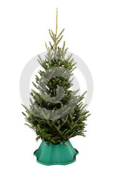 Undecorated Christmas Tree in Green Plastic Stand