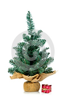 Undecorated small tree with small gift