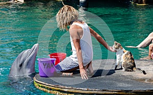 The undefined trainer feed the dolphins at the Dolphin Reef in Eilat