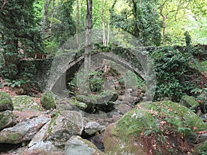 Under the ancient medieval stone brigde