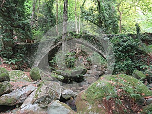 Under the ancient medieval stone brigde photo