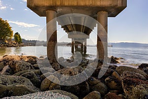 Under the Bellingham Boardwalk