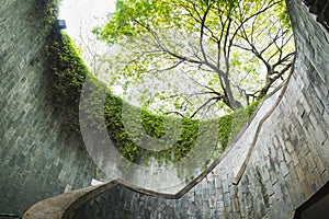 Under big tree canopy