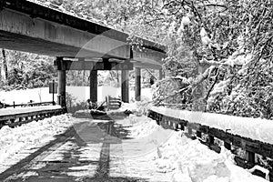 Under The Blue Ridge Parkway In Snow