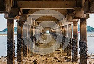 Under the boardwalk by the ocaen