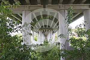 Under the bridge