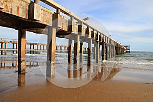 Under bridge on the beach nature landscape