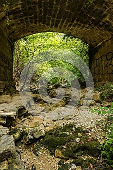 Under bridge dried river path surrounded by greenerie