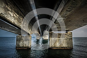 Under the Bridge