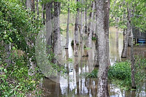 Under A Bridge That Is Over Water.