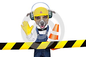 Under construction dog