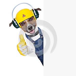 Under construction dog