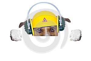 Under construction dog