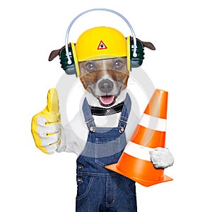Under construction dog