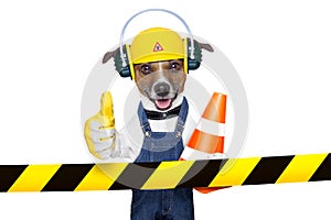 Under construction dog