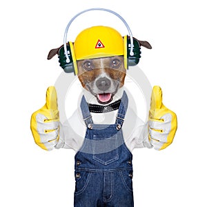 Under construction dog