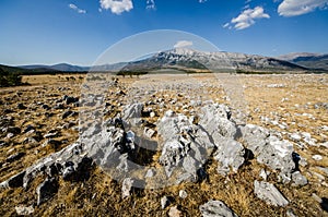 Under Dinara mountain