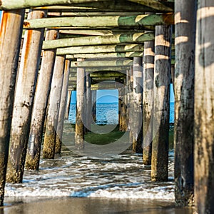 Under the dock