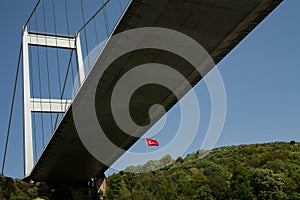 Under the large span bridge.