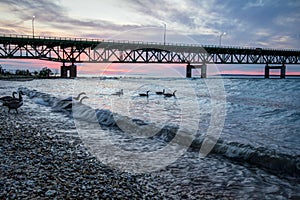 Mackinaw Bridge Michigan Sunset Background